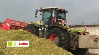 2014. Mais hakselen.Claas Jaguar 970.Straathof Wagenborgen.