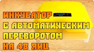 Китайский инкубатор с автоматическим переворотом на 48 яиц
