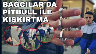 BAĞCILAR'DA PİTBULL İLE KIŞKIRTMA!