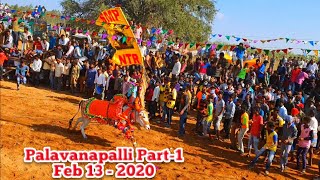 பலவனப்பள்ளி ஜல்லிக்கட்டு - Palavanappalli Jallikkattu Videos 2020