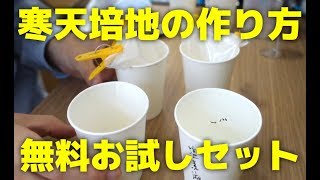 植物培養用の寒天培地の作り方【ヴィトロプランツ】