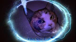 The Sly Cat