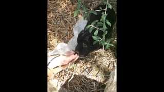 Our trip to Sicily 2015