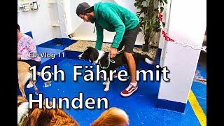 EU-Vlog11 | Von Amsterdam nach Newcastle | Fährfahrt mit Hunden | Was sollte man beachten