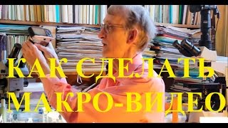 Как Делать Макро-Видео и Макро-Фото Микро-Насекомых Под Микроскопом?