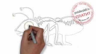 Как нарисовать злого муравья карандашом поэтапно