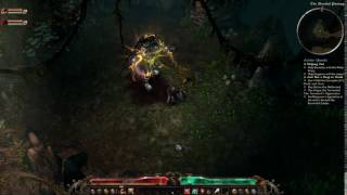 Grim Dawn - Occultist Shaman Double Pet on Boss