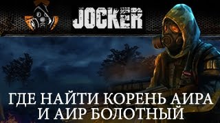 Stalker Online Где найти Корень Аира и Аир болотный