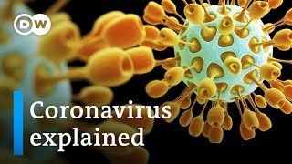 Coronavirus explained: Where it came from and how to stop it | DW News