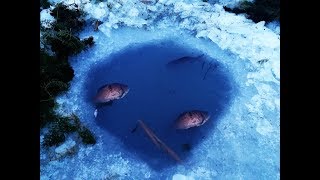 Кранты всей РЫБЕ ЧТО СТАЛО С РЫБОЙ ??? рыбалка 2019