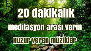 20 dakikalık huzur veren meditasyon müziği