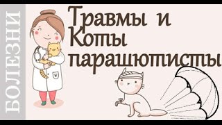 Травмы животных.Советует #ветеринар