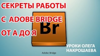 Adobe Bridge Урок 3 Настраиваем интерфейс под себя. Выбираем цветовую гамму