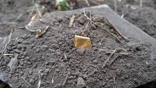 ПЕРВЫЕ 30 МИНУТ И СРАЗУ ЗОЛОТО... ВОТ ЭТО ПОВЕЗЛО НАШЛИ GOLD! КОП 2019