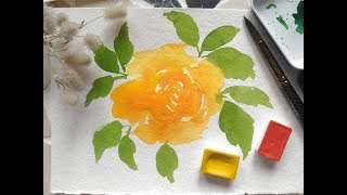 Как нарисовать розу акварелью