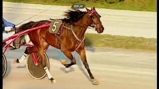 CORSA PONY TROTTO CATEGORIA MINITROTTER 26-GENNAIO 2019 IPPODROMO CIRIGLIANO DI AVERSA.