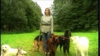 Filmimees: Otsin uut kodu