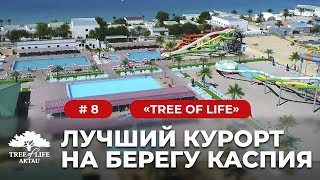 Tree of Life: "Лучший курорт на Каспийском море"