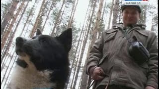 Летне-осенний сезон охоты в Марий Эл открывается 15 августа - Вести Марий Эл