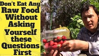 Don't Eat Any Raw Food without Asking Yourself these Questions First