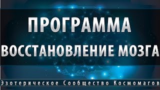 Программа восстановление сосудов головного мозга [Школа Космомагов Игоря Андреева]