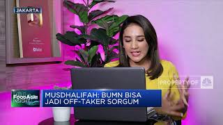 Jokowi Dorong Produksi & Hilirisasi Sorgum, Seberapa Menguntungkan?
