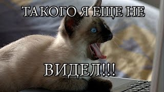 Качай платные курсы БЕСПЛАТНО !!!