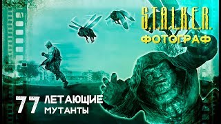 ● ЛЕТАЮЩИЕ МУТАНТЫ ● S.T.A.L.K.E.R. ФОТОГРАФ # 77