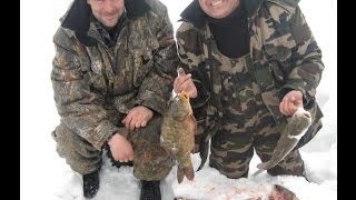 Все о рыбалке - Ловля толстолобика.