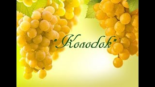 "Колобок".