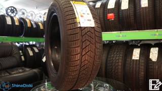 Pirelli Scorpion Winter