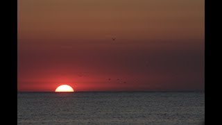 Закат на берегу Азовского моря.