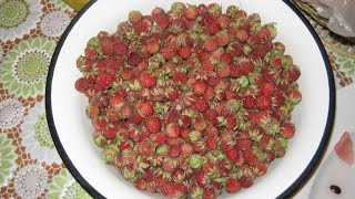 Поспела лесная клубника( земляника) Не пропустите сезон луговой (лесной) клубники.