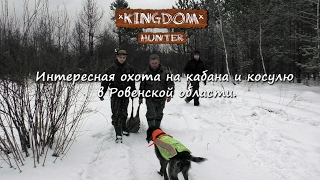 Интересная охота на кабана и косулю в Ровенской области