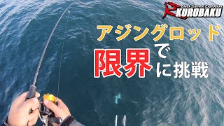 アジングロッドで青物を狙う
