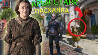 Ведьмак 3 Кровь и Вино - АРЬЯ СТАРК ИЗ ИГРЫ ПРЕСТОЛОВ!!! (ПАСХАЛКА)