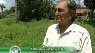 fazenda paraisio