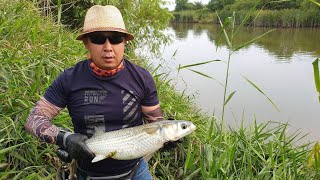 Рыбалка в камышах с рогаткой.SLINGSHOT FISHING