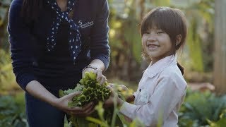 Caring for Vietnam's Orphans