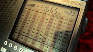 Degen DE1103(3 China Radio International)