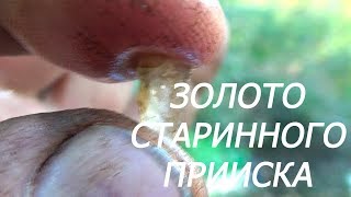 Золото старинного прииска!!!Из за чего наши деды осушали болота!!!