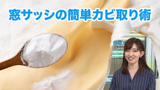 結露が気になる季節窓サッシの簡単カビ取り術