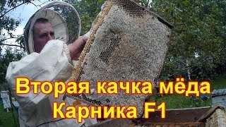 Карника, вторая качка мёда