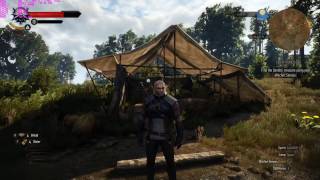 The Witcher 3 Laptop GTX 1060 (Clevo 650P)| FPS/Metrics