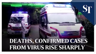 Deaths, confirmed cases from virus rise sharply