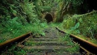 Мистический документальный фильм. Гиблые места , переход между мирами. Тайна гиблых мест.