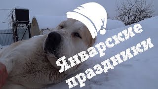 ПРАЗДНИКИ ПРОКАЗНИКИ ИЛИ ТЯЖЕЛЫЙ ЯНВАРЬ