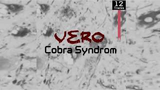 VERO - Album Snippet "Cobra Syndrom" ab dem 19.11.17 auf Soundcloud!