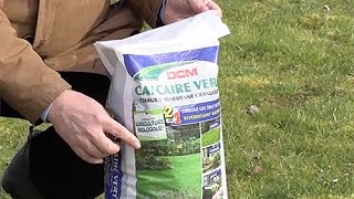 COMMENT ÉVITER LA MOUSSE DANS LE GAZON
