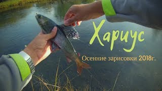 Хариус, осенние зарисовки 2018г. Ловля на нахлыст.